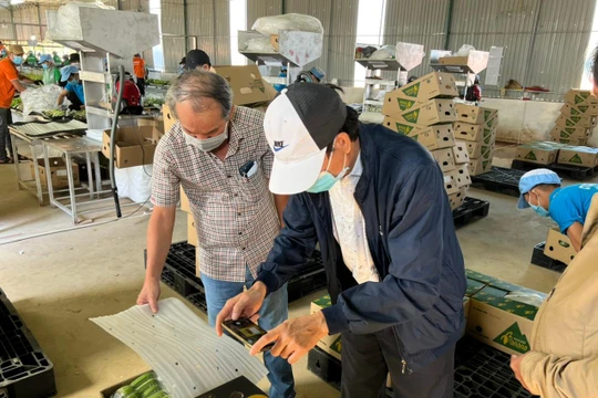 Bầu Đức đưa HAGL 'trở lại': Quyết tâm chính trị của tôi là trả nợ