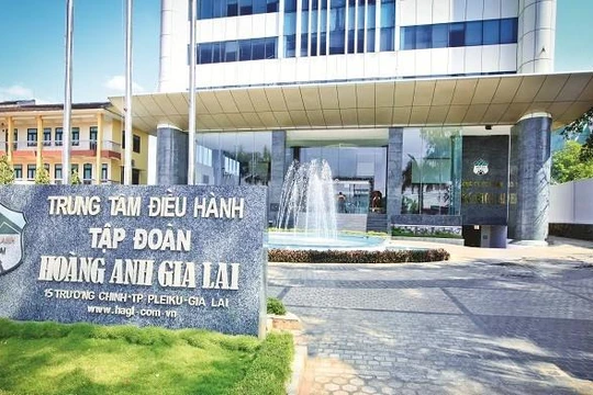 Lộ diện 3 nhà đầu tư sắp chi 1.300 tỉ đồng mua cổ phiếu HAG