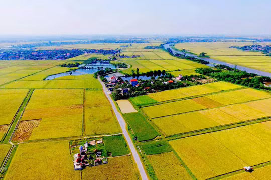 Sắp có ngân hàng đất nông nghiệp