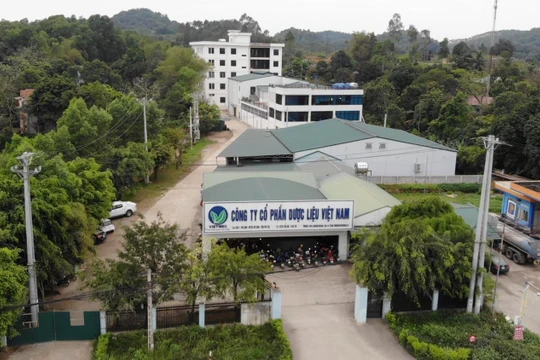 Hơn 35 triệu cổ phiếu VDM của CTCP Dược liệu Việt Nam sẽ niêm yết trên sàn HNX từ ngày 19/7 (Ảnh: Vietmec)