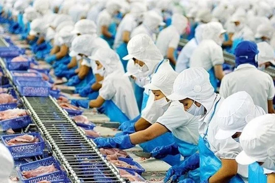 Vĩnh Hoàn miệt mài gom mua cổ phiếu NLG, DXS và KBC