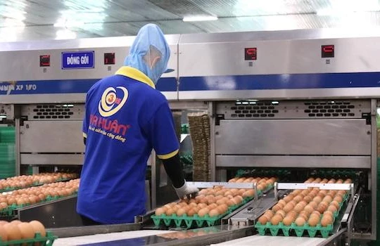 Bà chủ Ba Huân: 10 năm trước FPT từng ngỏ lời hỗ trợ chuyển đổi số