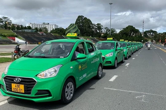 Chủ sở hữu hãng taxi Mai Linh lỗ lũy kế 1.420 tỉ đồng