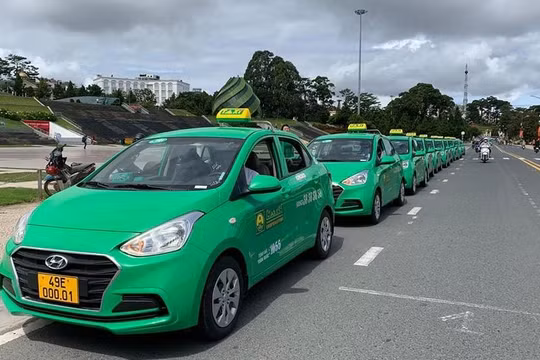 Chủ sở hữu hãng taxi Mai Linh lỗ lũy kế 1.420 tỉ đồng