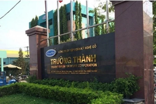 Gỗ Trường Thành giải trình về việc ‘bán chui’ 12,6 triệu cổ phiếu quỹ