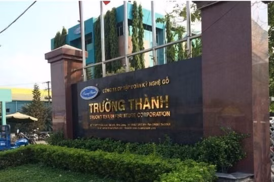 Gỗ Trường Thành giải trình về việc ‘bán chui’ 12,6 triệu cổ phiếu quỹ