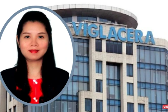 Nữ ứng viên được đề cử vào HĐQT Viglacera là ai?