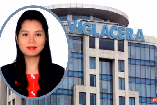 Nữ ứng viên được đề cử vào HĐQT Viglacera là ai?