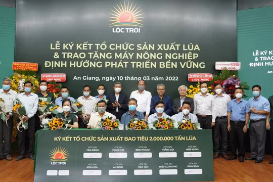 Lộc Trời liên kết sản xuất bao tiêu 2 triệu tấn lúa với nông dân An Giang (Ảnh: LTG)
