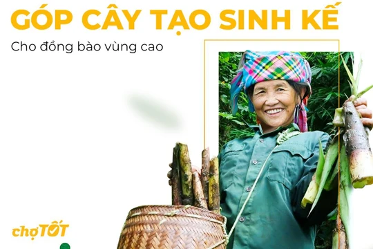 TreeBank, Chợ Tốt góp cây tạo sinh kế bền vững cho đồng bào vùng cao