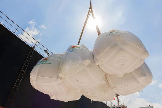 Việt Nam trong 'cơn sốt' giá lương thực thế giới