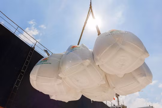 Việt Nam trong 'cơn sốt' giá lương thực thế giới