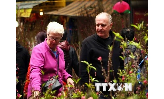 Chợ hoa Hàng Lược thu hút khách nước ngoài đến ngắm và mua hoa trong dịp Tết. (Ảnh: Tuấn Anh/TTXVN)