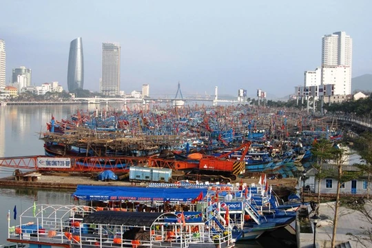 Thông qua các chương trình đào tạo trong và ngoài nước, lãnh đạo TP.Đà Nẵng kỳ vọng tìm ra “nhân tài” thực sự góp phần xây dựng TP phát triển - Ảnh: Hữu Trà