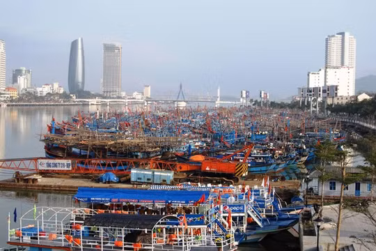 Thông qua các chương trình đào tạo trong và ngoài nước, lãnh đạo TP.Đà Nẵng kỳ vọng tìm ra “nhân tài” thực sự góp phần xây dựng TP phát triển - Ảnh: Hữu Trà