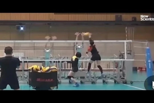 Ảnh minh họa. Nguồn Internet