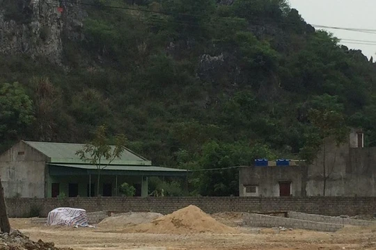 Xưởng sản xuất gỗ dăm quy mô trái phép của Công ty Tân Phú hoạt động trong Khu kinh tế Nghi Sơn. Ảnh: Sơn Lâm.