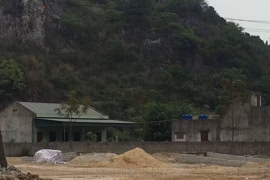 Xưởng sản xuất gỗ dăm quy mô trái phép của Công ty Tân Phú hoạt động trong Khu kinh tế Nghi Sơn. Ảnh: Sơn Lâm.