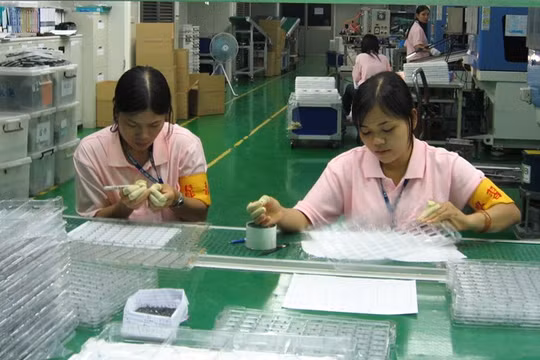 Hơn 1.100 lao động Việt Nam tại Đài Loan bỏ trốn mỗi tháng