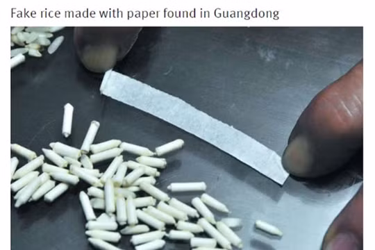 Gạo giấy vừa được phát hiện ở Quảng Đông - Ảnh chụp màn hình trang tin Shanghaiist