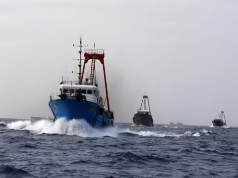 Trung Quốc im lặng cho ngư dân trộm cá, Hàn Quốc lập lực lượng liên hợp bắt giữ