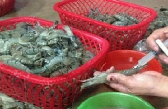 Một miếng ăn 3 Bộ quản lý, dân vẫn "xơi" đồ độc hại là sao?