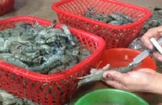 Một miếng ăn 3 Bộ quản lý, dân vẫn "xơi" đồ độc hại là sao?