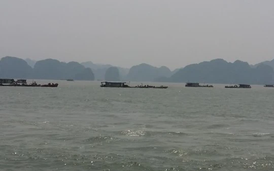 Vẩn tải than đường thủy ở Quảng Ninh