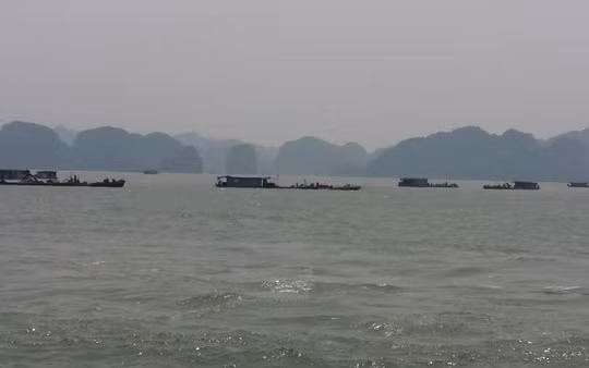 Vẩn tải than đường thủy ở Quảng Ninh