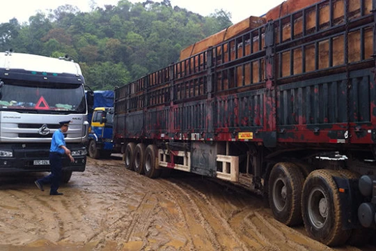 Xe chở gỗ quá tải bị chặn bắt ở Nghệ An