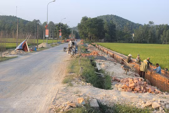 Ảnh minh họa. Nguồn: Dân trí