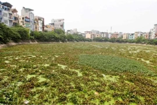 Hà Nội mất 7,2 ha mặt hồ trong 5 năm