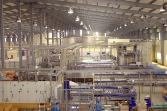 Truy tố nguyên giám đốc công ty cồn rượu Hà Nội - Halico