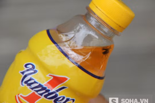 Tân Hiệp Phát: Con ruồi hơn 3 tháng vẫn “tươi nguyên” là phi lý