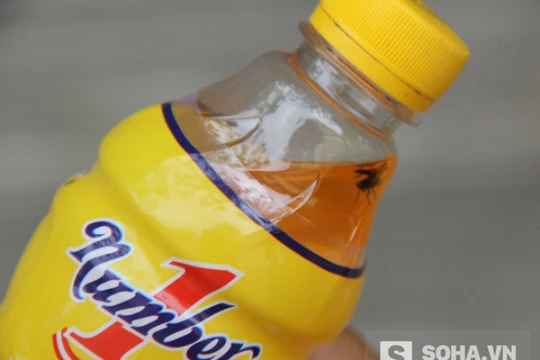 Tân Hiệp Phát: Con ruồi hơn 3 tháng vẫn “tươi nguyên” là phi lý