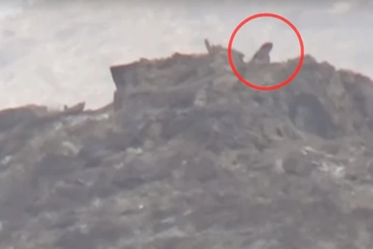 Hình cắt từ clip