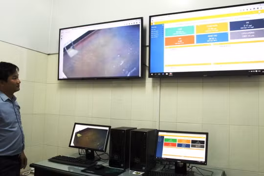 Giám sát xả thải tại Nhà máy Formosa