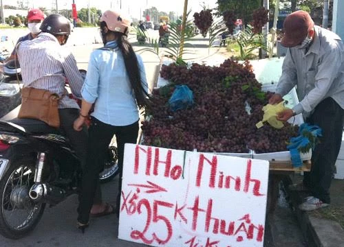 Nhập cả 100 tấn nho Trung Quốc mỗi ngày nhưng lạ là, trên thị trường chỉ thấy bán nho Ninh Thuận