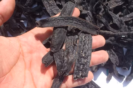 Bắt vụ vận chuyển 72 kg đỉa sấy khô từ Campuchia vào Việt Nam