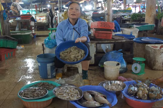 Hà Tĩnh: Hàm lượng kim loại nặng trong hải sản ở ngưỡng cho phép