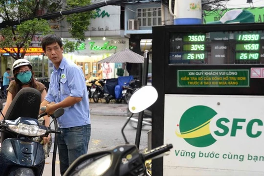 Có 262/518 cửa hàng kinh doanh xăng dầu ở TP.HCM bán xăng sinh học E5 - Ảnh: D.Đ.M