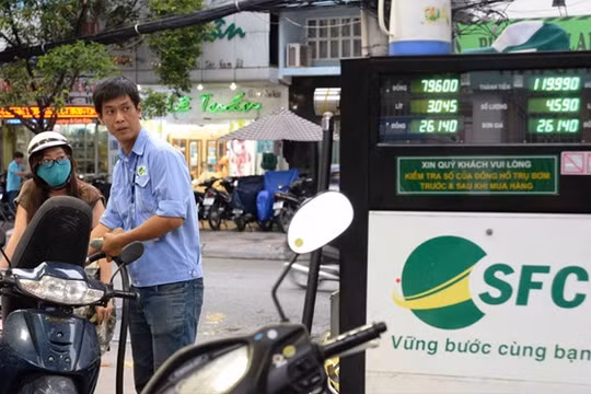 Có 262/518 cửa hàng kinh doanh xăng dầu ở TP.HCM bán xăng sinh học E5 - Ảnh: D.Đ.M