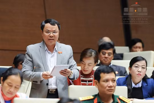 Đại biểu Nguyễn Tiến Sinh. Ảnh: Quốc hội