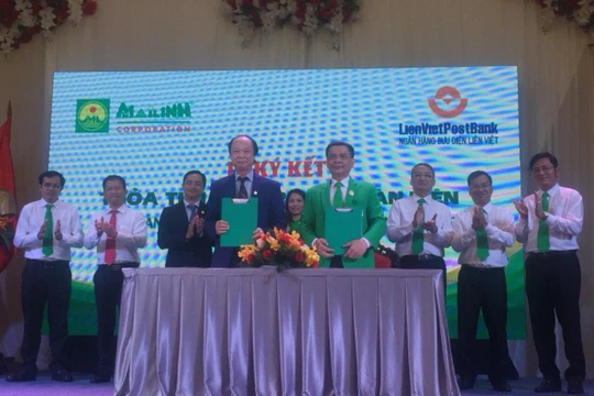 Buổi ký kết giữa LienVietPostBank và MaiLinhGroup
