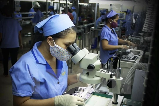 Ảnh chỉ có tính minh họa. (Ảnh: Trọng Đạt/TTXVN)