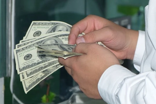 Thị trường lo ngại rằng khi NHNN áp dụng chính sách tỷ giá mới sẽ khiến ngoại tệ chảy ra ngoài nhiều hơn - Ảnh: TBKTSG