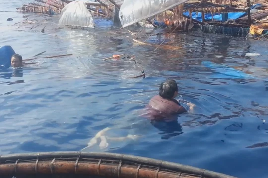 Clip phẫn nộ ngư dân Việt ôm can bơi giữa biển vì bị “tàu lạ” đâm chìm