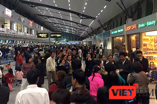 Theo ngành y tế Đà Nẵng, muỗi trung gian truyền virus Zika phát hiện tại sân bay Đà Nẵng là loại muỗi vằn Aedes Aegypti, trung gian truyền bệnh Sốt xuất huyết đã có ở Việt Nam từ lâu.