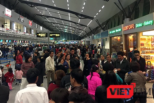 Theo ngành y tế Đà Nẵng, muỗi trung gian truyền virus Zika phát hiện tại sân bay Đà Nẵng là loại muỗi vằn Aedes Aegypti, trung gian truyền bệnh Sốt xuất huyết đã có ở Việt Nam từ lâu.