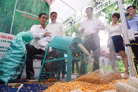 Nông dân 'trình diễn' sản phẩm tại chợ khoa học